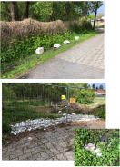 Foto: Schutt- und Müll an Straße und im Landschaftsschutzgebiet 